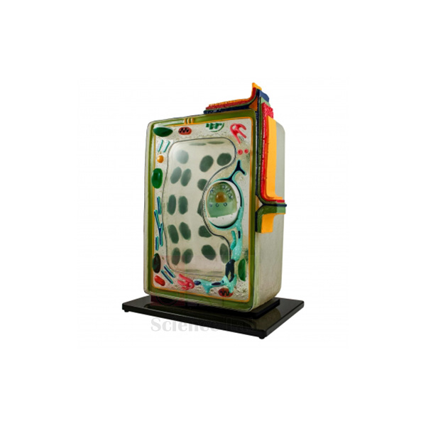 Plant Cell